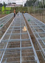 la serra di lunghezza di 1.7m coltiva i letti, tavolo della presidenza del vassoio del banco del letto di semina