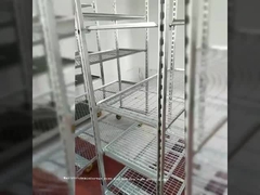 dimensione non facile 1500*565*1900 della serra di orticoltura della maglia metallica della ruggine di zincatura a caldo