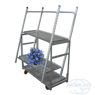 Carretto del carrello del metallo danese olandese della serra per il trasporto dell'esposizione del fiore