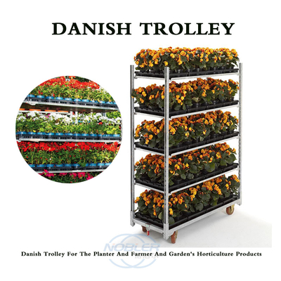 Prova 1500*565*1900mm della ruggine di Mesh Type Dutch Flower Trolley del metallo