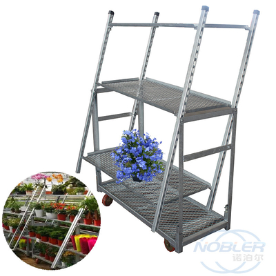 La immersione calda netta di tirata olandese del carrello ha galvanizzato il carrello speciale del fiore del piatto standard materiale del foro