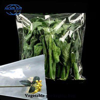 Multipli specifiche sacchetto di imballaggio per verdure personalizzato con fori d'aria