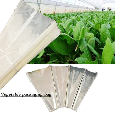 Sacchetto di imballaggio per ortaggi e frutta in plastica trasparente multiuso Fiori tagliati freschi