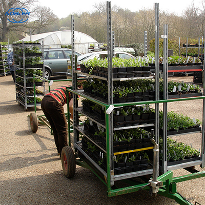 Contenitore standard 1350 * 565 * 1900mm carrello di fiori in compensato