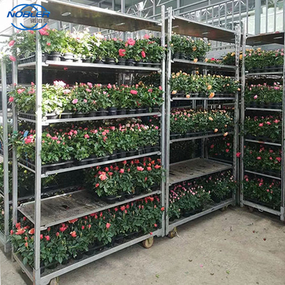 Contenitore standard 1350 * 565 * 1900mm carrello di fiori in compensato