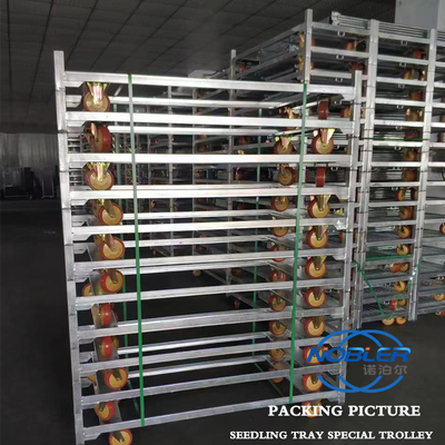 Distribuzione della logistica dei fiori Camionette danesi Progettazione flessibile e professionale