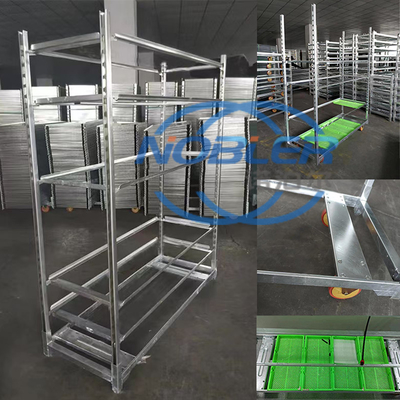 Distribuzione della logistica dei fiori Camionette danesi Progettazione flessibile e professionale