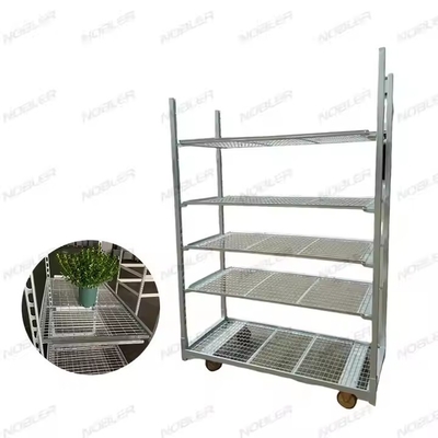 Trattamento della superficie del carrello dei fiori olandese resistente galvanizzazione a caldo rete metallica facile da assemblare
