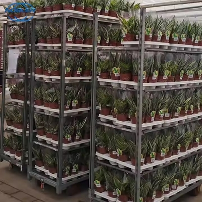 Serra a carico elevato con rivestimento in polvere per carrelli di fiori danesi