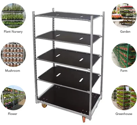 Carrelli danesi per fioriere agricole verniciati a polvere per la raccolta in serra