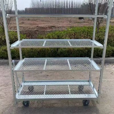 Carrello portafiori olandese PP, resistente alla ruggine, con altezza ripiano 25 cm, adatto alle esigenze del trasporto floreale professionale