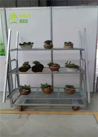 Display Tipo Legno compensato carrozzino da fiori danese Prevenzione della ruggine Assemblaggio conveniente