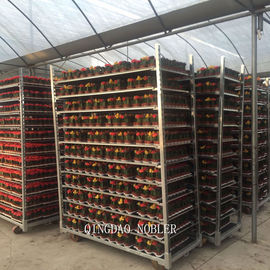Flowers Logistics Turnover Standard Danish Container Metal Mesh Material Flower Trolley