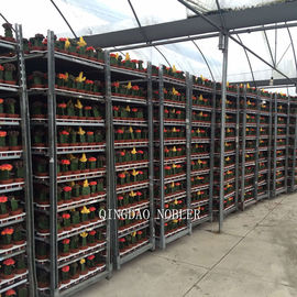 Flowers Logistics Turnover Standard Danish Container Metal Mesh Material Flower Trolley