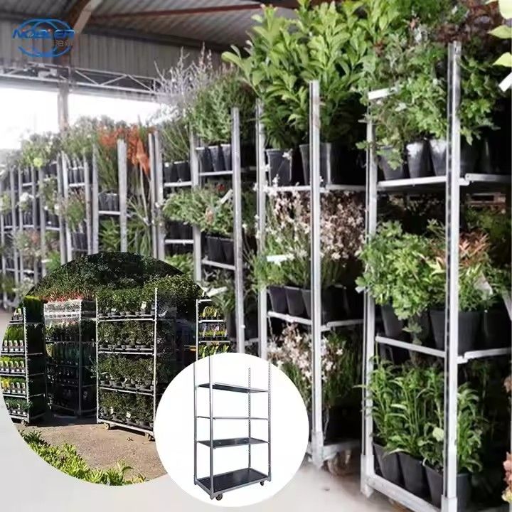 Carrello danese impermeabile per fiori con zinco zincato a caldo e strato a rete
