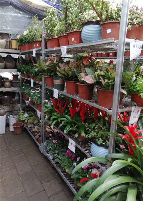 Ripiani di supermercati danesi di 3 livelli con palo da 1,8x1800 mm e 4 casci girevoli